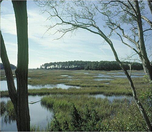 Atlantic Coastal Plain